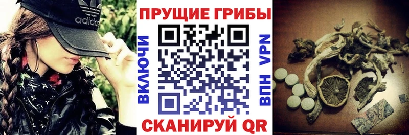 Купить  Верхнеуральск  Галлюциногенные грибы ЛСД 